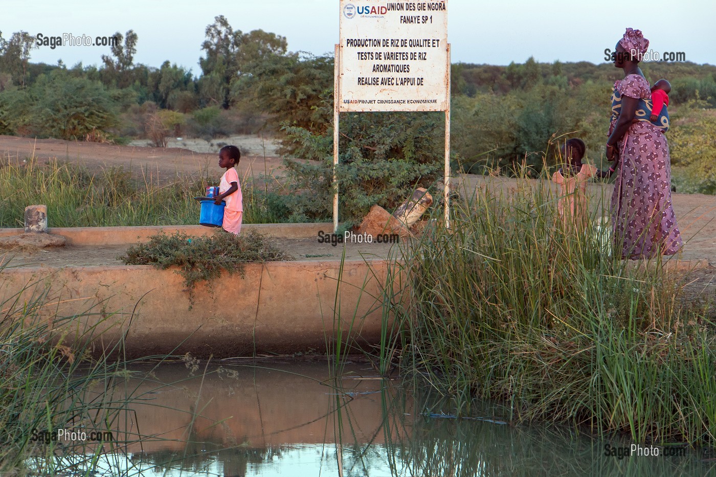 CANAL D'IRRIGATION POUR LES RIZIERES (PRODUCTION DE RIZ DE QUALITE ET TEST DE RIZ AROMATIQUES), VILLAGE TOUCOULEUR DE DEGUEMBERE, PROVINCE DE FANAYE DIERI, SENEGAL, AFRIQUE DE L'OUEST 