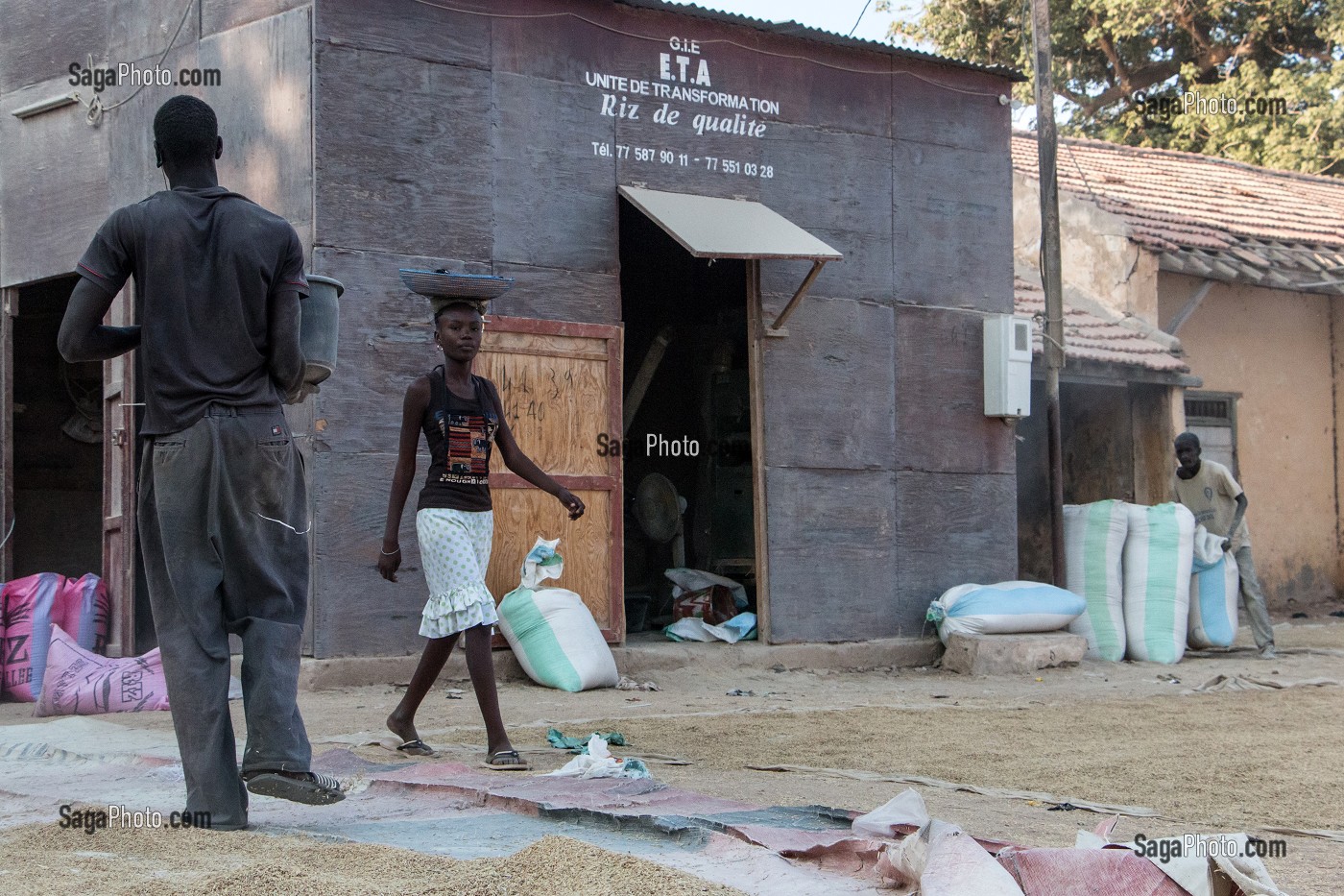 UNITE DE TRANSFORMATION DE RIZ DE QUALITE, DAGANA, SENEGAL, AFRIQUE DE L'OUEST 