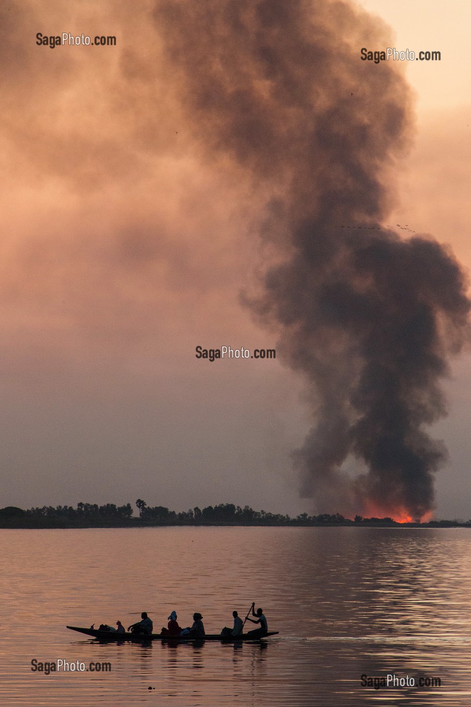 TRAVERSEE DE PIROGUES DEPUIS LA MAURITANIE SUR LE FLEUVE AVEC LES FEUX DE CANNE A SUCRE SUR FOND DE COUCHER DE SOLEIL, DAGANA, SENEGAL, AFRIQUE DE L'OUEST 