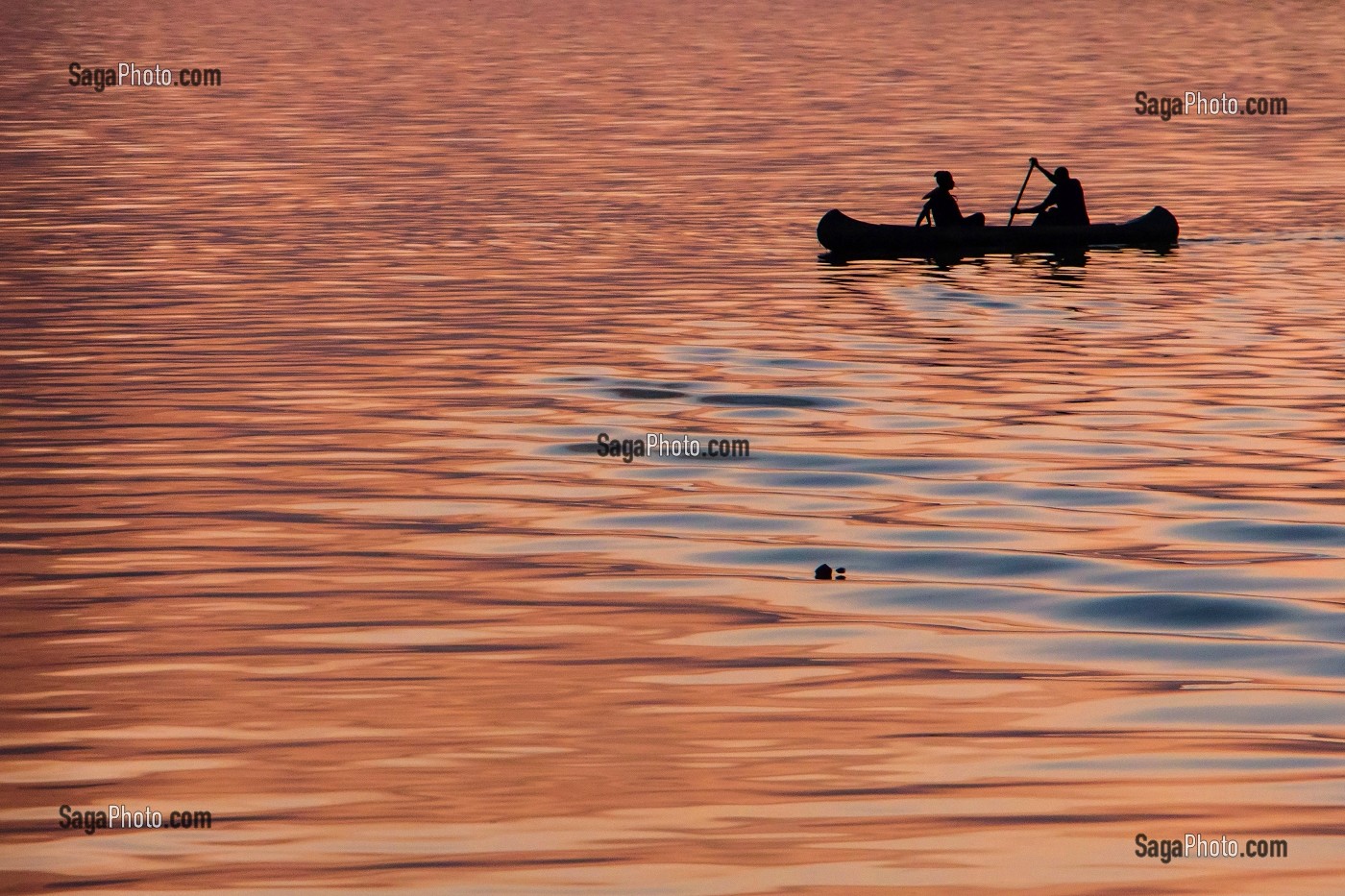 TRAVERSEE DE PIROGUES DEPUIS LA MAURITANIE SUR LE FLEUVE SUR FOND DE COUCHER DE SOLEIL, DAGANA, SENEGAL, AFRIQUE DE L'OUEST 