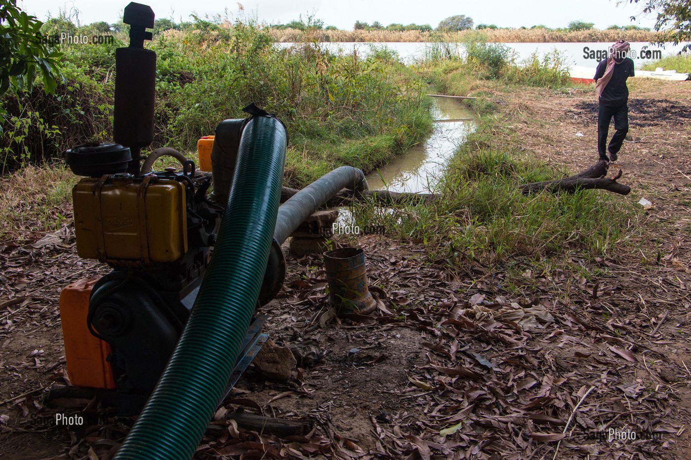 POMPE D'IRRIGATION POUR IRRIGUER LES CULTURES AUTOUR DU FLEUVE, VILLAGE DE GOUMEL, SENEGAL, AFRIQUE DE L'OUEST 