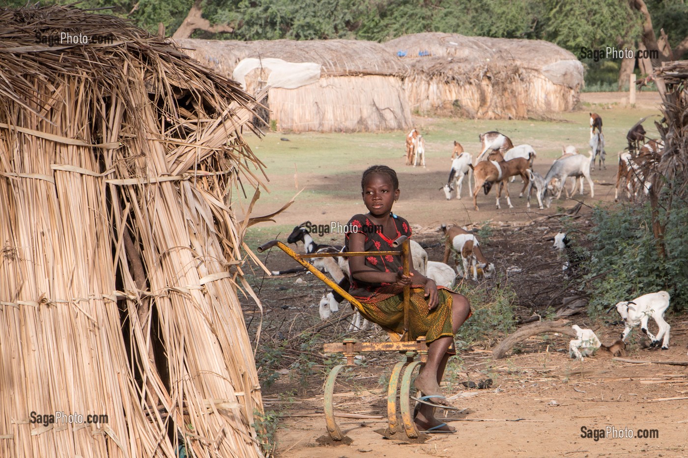 JEUNE FILLE PEULE DEVANT SA CASE EN FEUILLE DE ROSEAUX, VILLAGE DES ELEVEURS NOMADES DE GOUMEL, SENEGAL, AFRIQUE DE L'OUEST 