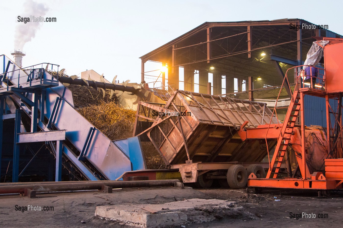 DECHARGEMENT DES TIGES DE CANNES A SUCRE AVANT BROYAGE DANS L'ENTREPRISE, COMPAGNIE SUCRIERE SENEGALAISE, RICHARD-TOLL, SENEGAL, AFRIQUE DE L'OUEST 