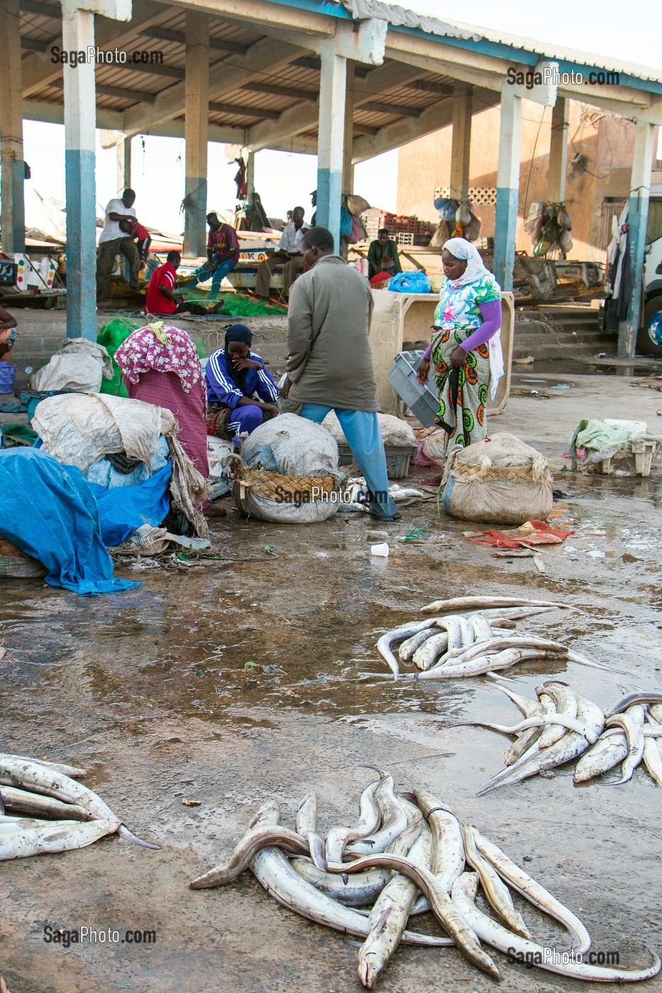 MARCHE AUX POISSONS, GUET NDAR, QUARTIER DU VILLAGE DES PECHEURS AVEC LES PIROGUES COLOREES, SAINT-LOUIS-DU-SENEGAL, SENEGAL, AFRIQUE DE L'OUEST 