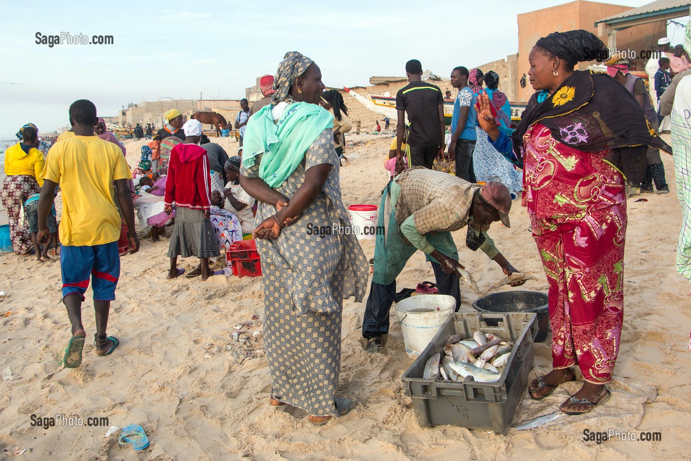 VENTE DE POISSONS SUR LA PLAGE, GUET NDAR, QUARTIER DU VILLAGE DES PECHEURS AVEC LES PIROGUES COLOREES, SAINT-LOUIS-DU-SENEGAL, SENEGAL, AFRIQUE DE L'OUEST 