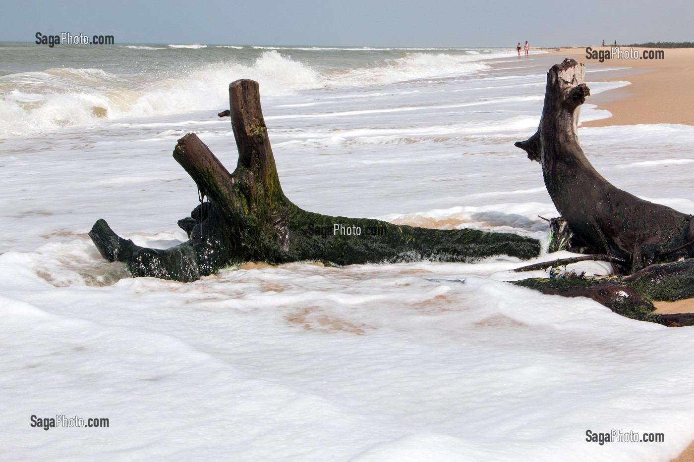 GRANDE PLAGE DESERTE DE SABLE FIN DE LA LANGUE DE BARBARIE, REGION DE SAINT-LOUIS-DU-SENEGAL, SENEGAL, AFRIQUE DE L'OUEST 