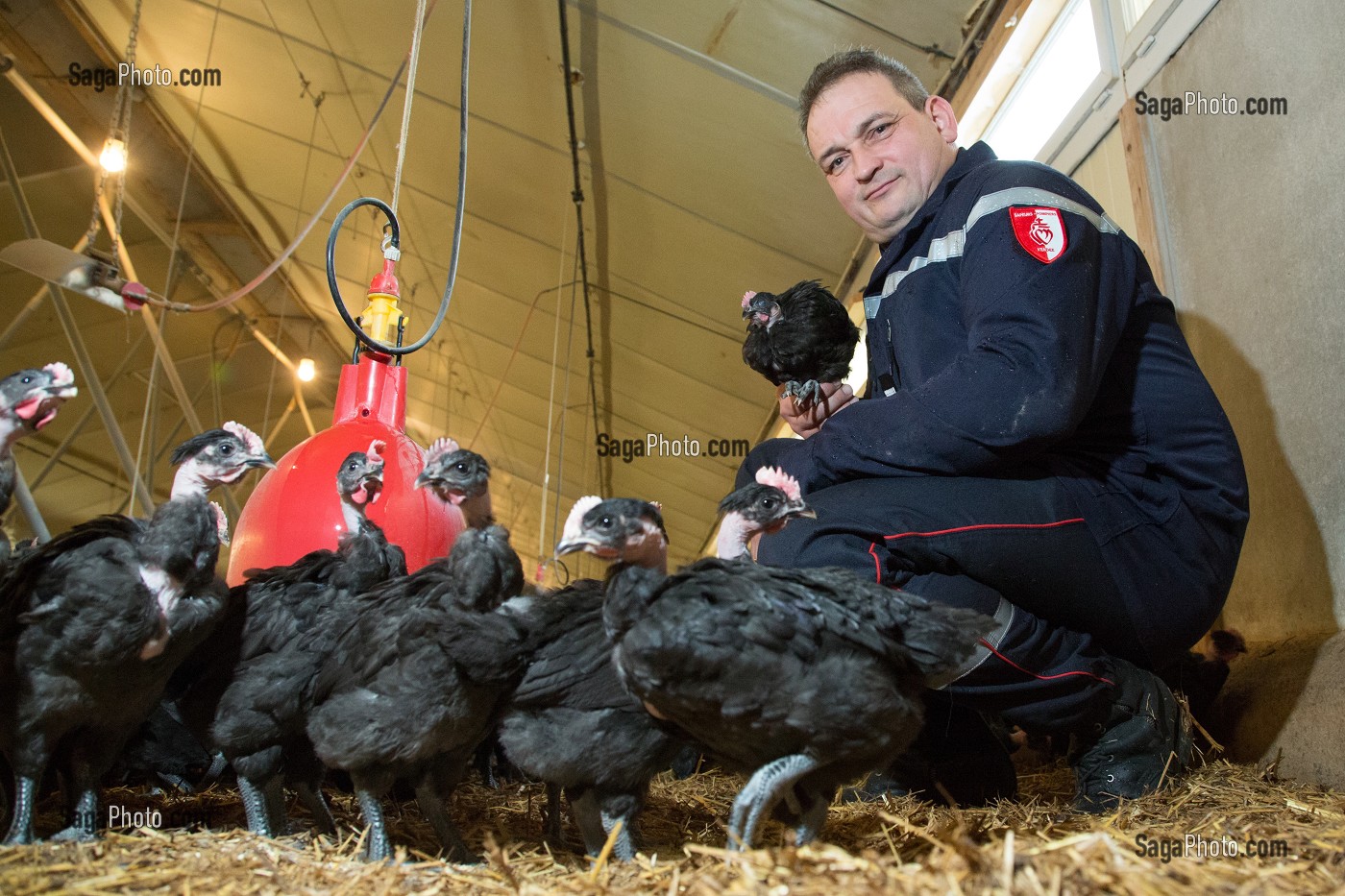 ADJUDANT/CHEF DIDIER CHIRON, AGRICULTEUR, PRODUCTEUR DE LAIT ET ELEVEUR DE VOLAILLES SAPEUR-POMPIER VOLONTAIRE, CHEF DU CENTRE DE SECOURS DES LANDES-GENUSSON, VENDEE (85), FRANCE 