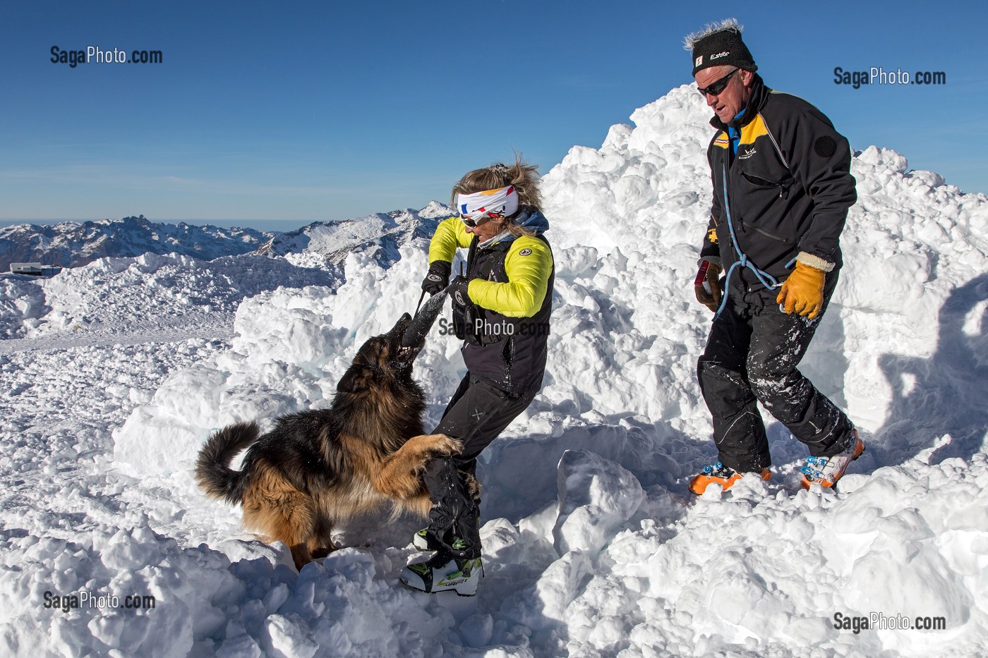 LES MAITRES-CHIENS D'AVALANCHE, FORMATION ORGANISEE PAR L'ANENA AVEC L'AGREMENT DE LA SECURITE CIVILE, LES-DEUX-ALPES (38), FRANCE 