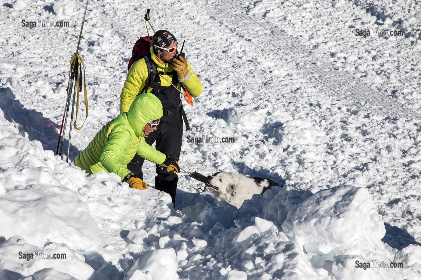 LES MAITRES-CHIENS D'AVALANCHE, FORMATION ORGANISEE PAR L'ANENA AVEC L'AGREMENT DE LA SECURITE CIVILE, LES-DEUX-ALPES (38), FRANCE 