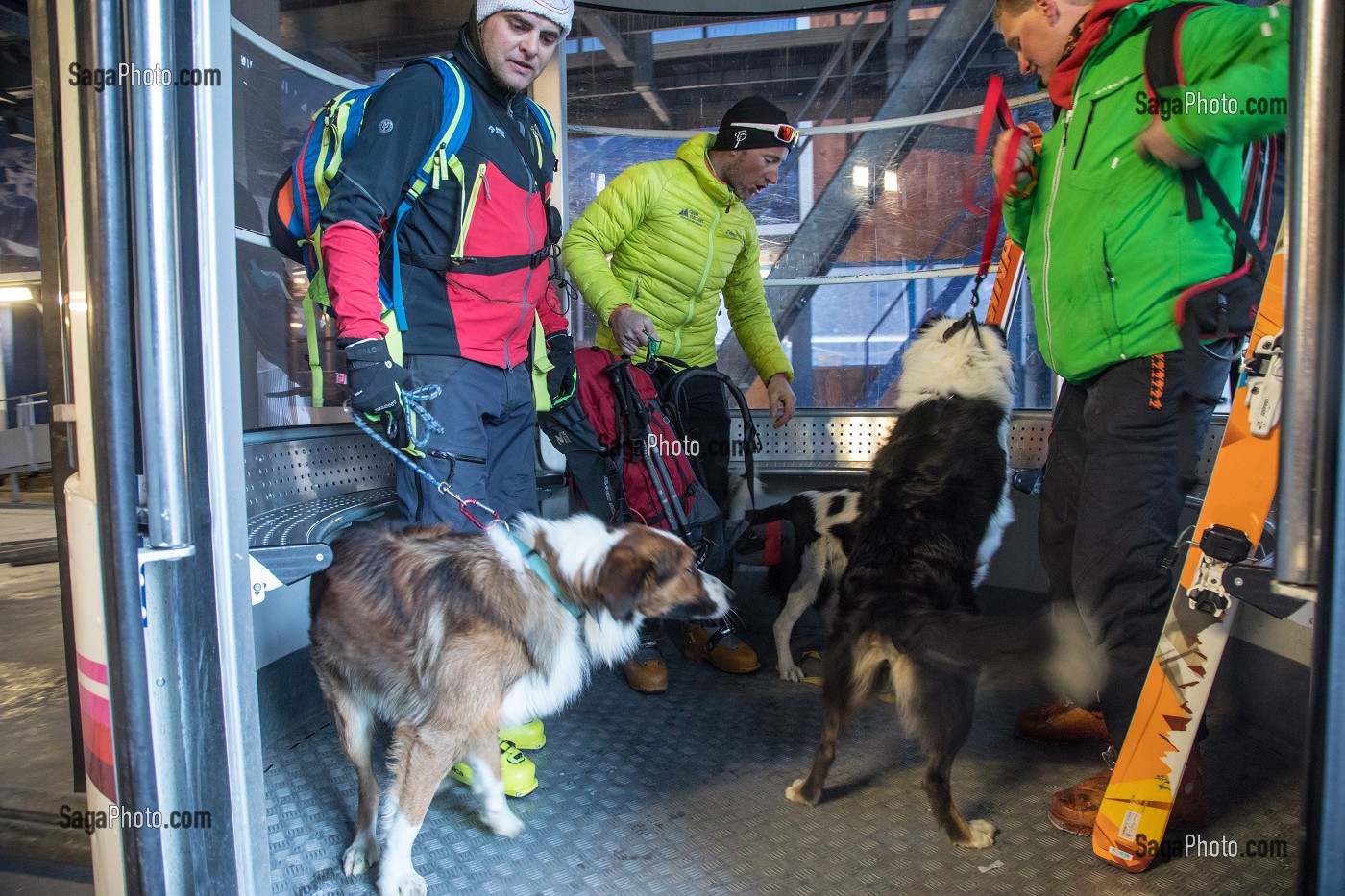 EMBARQUEMENT AU TELECABINE DU JANDRI PAR 3 EQUIPES STAGIAIRES, REPORTAGE SUR LES MAITRES-CHIENS D'AVALANCHE, FORMATION ORGANISEE PAR L'ANENA AVEC L'AGREMENT DE LA SECURITE CIVILE, LES-DEUX-ALPES (38), FRANCE 