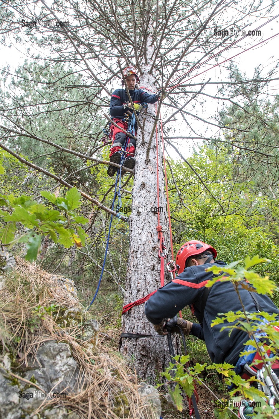 MANOEUVRE GRIMP POUR DESCENTE D'UNE VICTIME SUR UN CHEMIN DE RANDONNEE, STAGE IMP3 AVEC LE CENTRE NATIONAL DE FORMATION DE FLORAC, COMMUNE DE SAINTE-EMINIE DANS LES GORGES DU TARN (48), FRANCE 