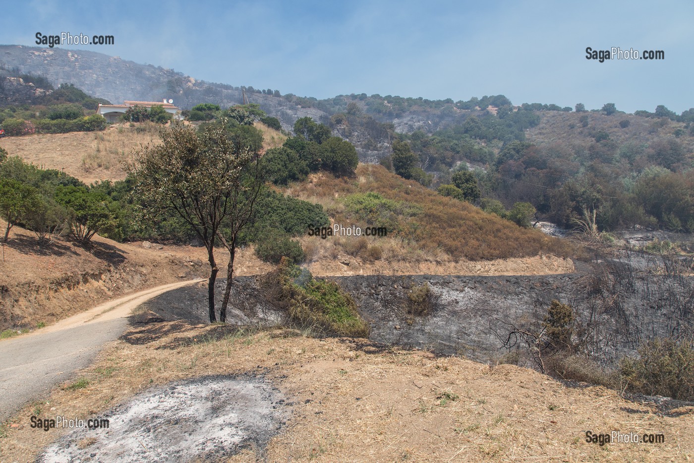 ZONE DE DEPART D'UN FEU DE GARRIGUE SUR LA COMMUNE D'ALATA PRES D'AJACCIO, CORSE-DU-SUD, FRANCE 