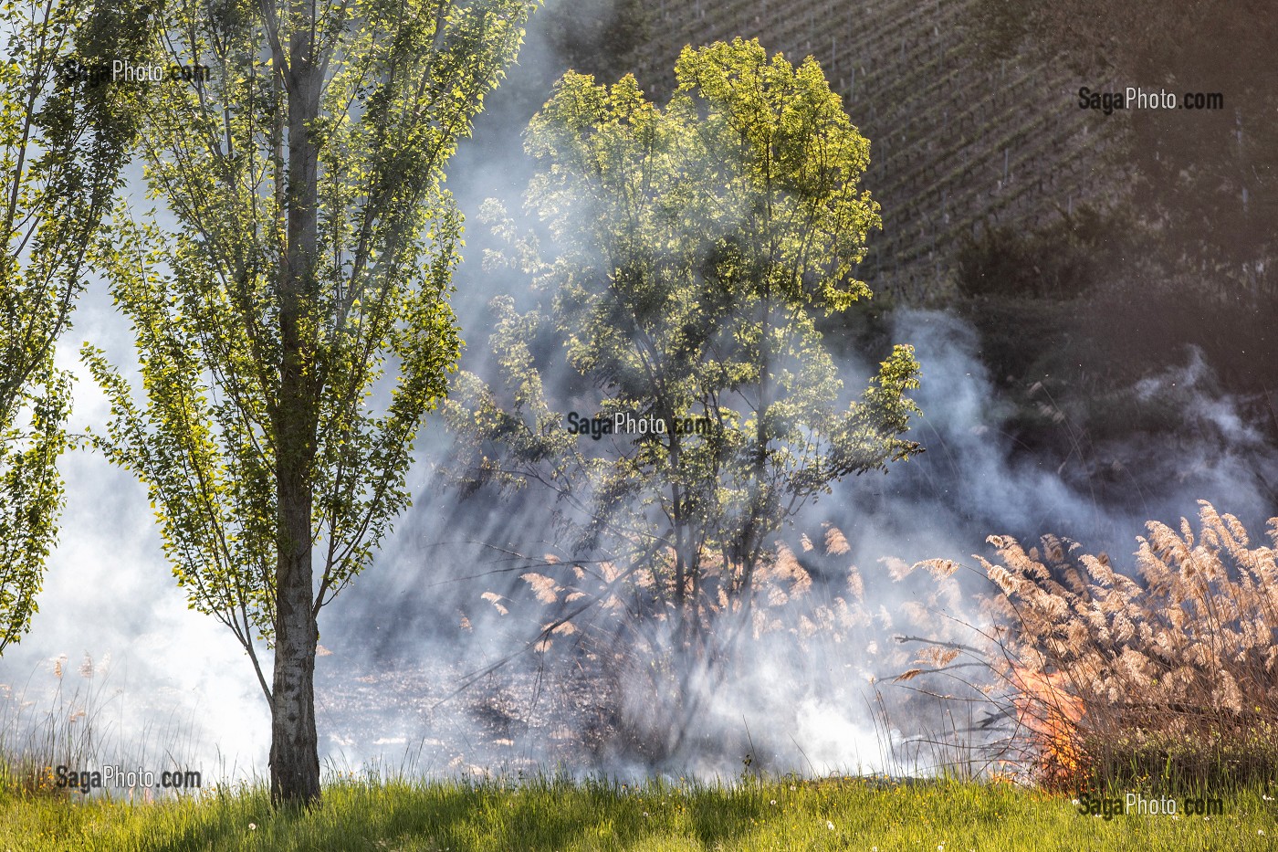 FEUX DE BROUSSAILLES (ROSEAUX) SOUS DES PYLONES DE LIGNES A HAUTE TENSION, SAPEURS-POMPIERS PRINCIPAL DU CENTRE DE SECOURS DE CHAMBERY, LES MARCHES, SAVOIE (73), FRANCE 