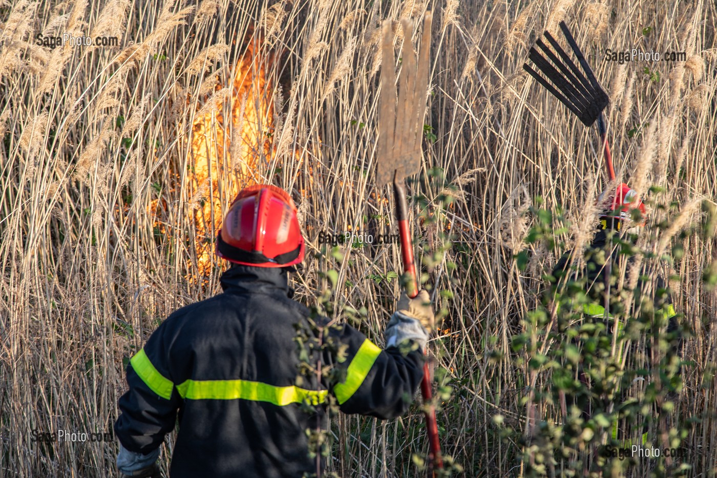 SAPEUR-POMPIER EN TRAIN D'ETEINDRE UN FEU DE BROUSSAILLES (ROSEAUX) AVEC DES BATTES A FEU, SAPEURS-POMPIERS PRINCIPAL DU CENTRE DE SECOURS DE CHAMBERY, LES MARCHES, SAVOIE (73), FRANCE 