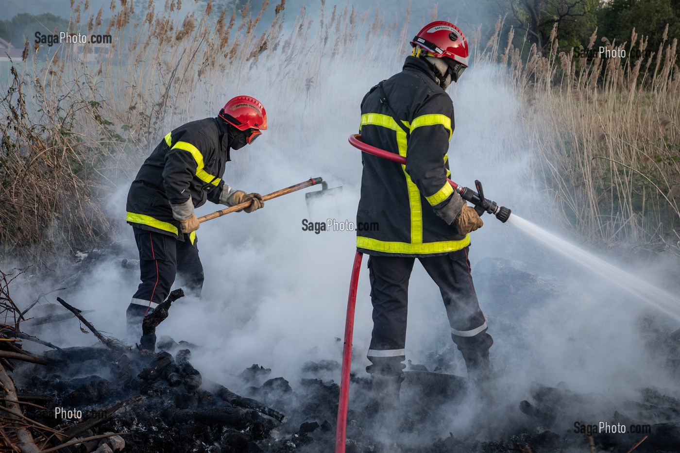 SAPEURS-POMPIERS EN TRAIN D'ETEINDRE UN FEU DE BROUSSAILLES (ROSEAUX) AVEC DES BATTES A FEU, PRINCIPAL DU CENTRE DE SECOURS DE CHAMBERY, LES MARCHES, SAVOIE (73), FRANCE 