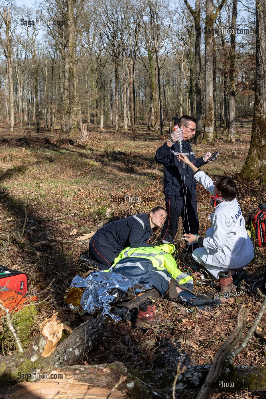 SECOURS AVEC LES SAPEURS-POMPIERS ET LE SAMU POUR UN JEUNE BUCHERON QUI A RECU UN ARBRE SUR LA TETE DANS LA FORET, ALENCON (61), FRANCE 