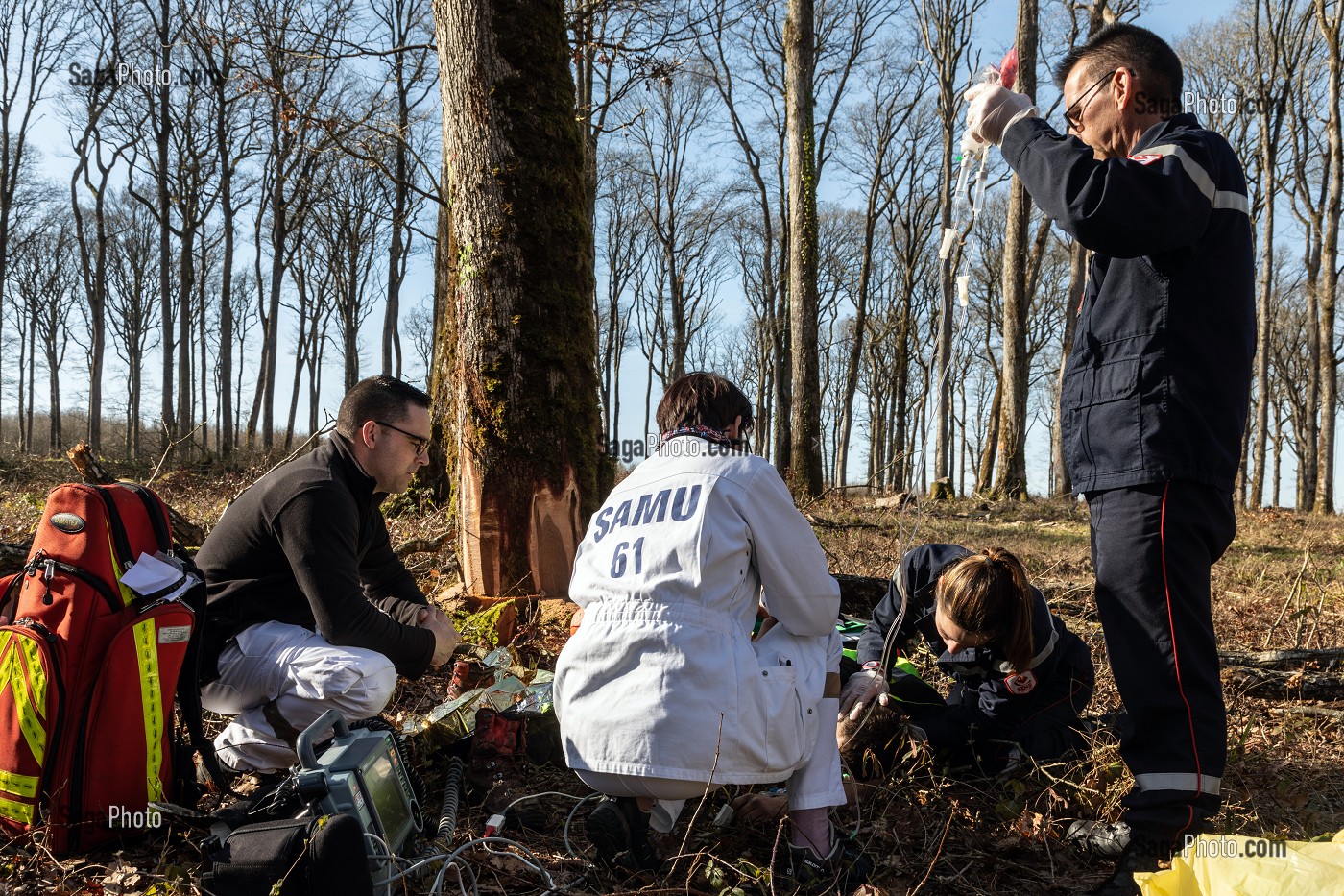 SECOURS AVEC LES SAPEURS-POMPIERS ET LE SAMU POUR UN JEUNE BUCHERON QUI A RECU UN ARBRE SUR LA TETE DANS LA FORET, ALENCON (61), FRANCE 