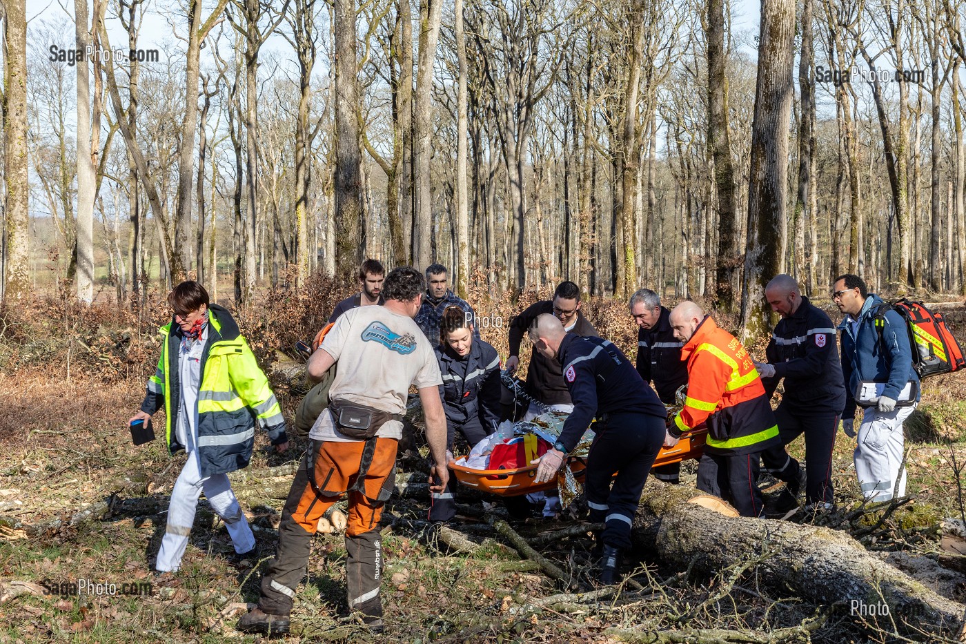 SECOURS AVEC LES SAPEURS-POMPIERS ET LE SAMU POUR UN JEUNE BUCHERON QUI A RECU UN ARBRE SUR LA TETE DANS LA FORET, ALENCON (61), FRANCE 