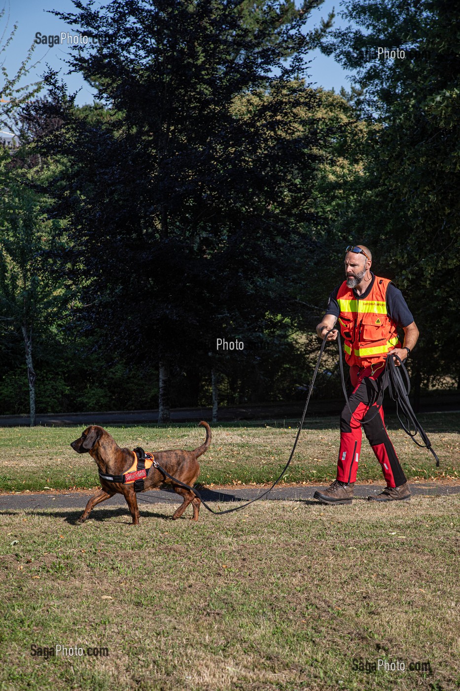 RECHERCHE DE PERSONNE EGAREE AVEC UN CHIEN DE PISTAGE, ONNIE CHIENNE DE RACE ROUGE D'HANOVRE ET SON MAITRE FABIEN SAVAGLIO, EQUIPE CYNOTECHNIQUE DES SAPEURS-POMPIERS DU CENTRE DE SECOURS DE VANNES, MORBIHAN, FRANCE 