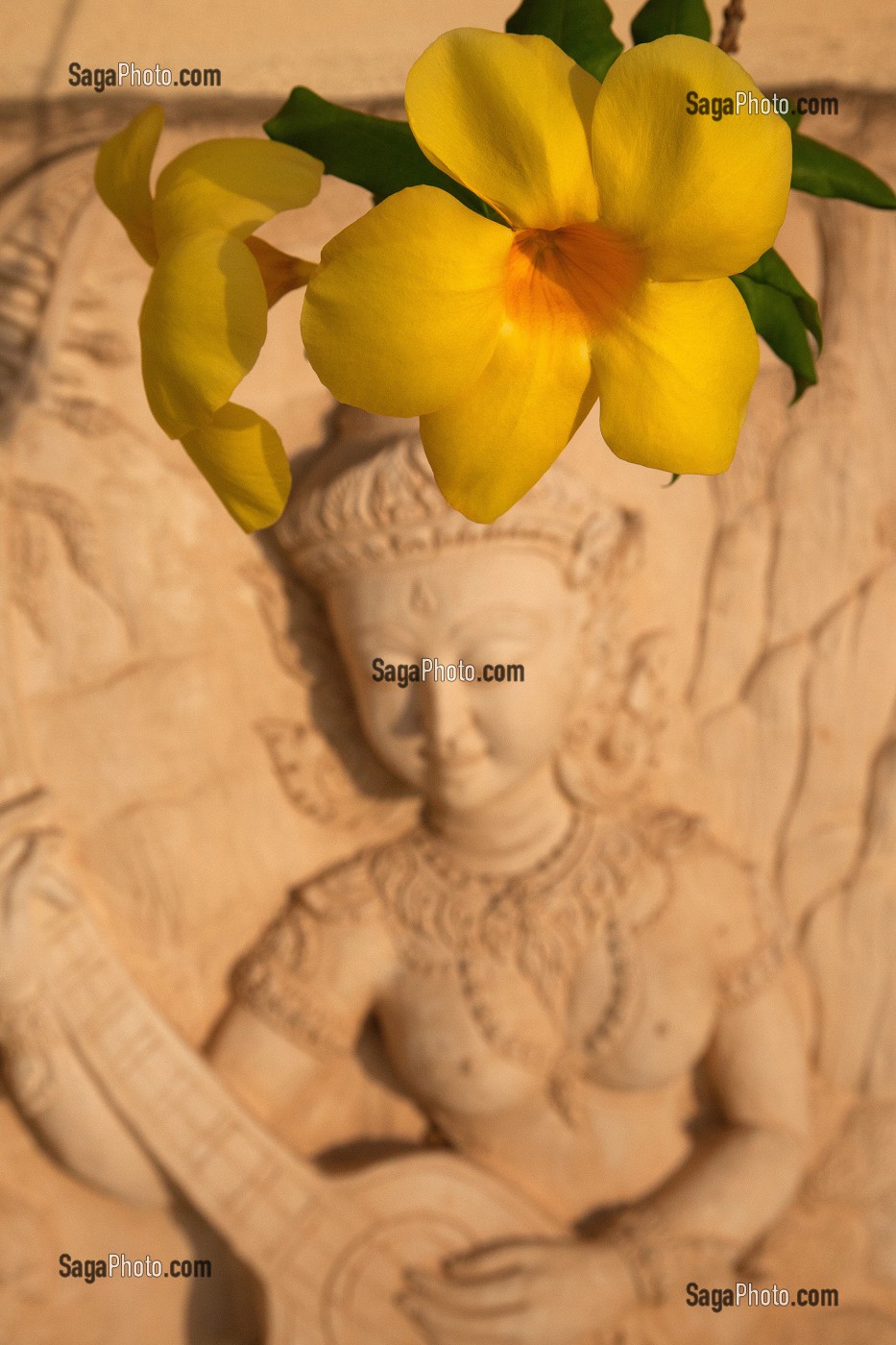 MUSICIENNES THAILANDAISE, SCULPTURE DECORANT UN BALCON DU PRINCE HOTEL, ET FLEUR D'ALLAMANDA, VILLE DE BANGKOK, THAILANDE 