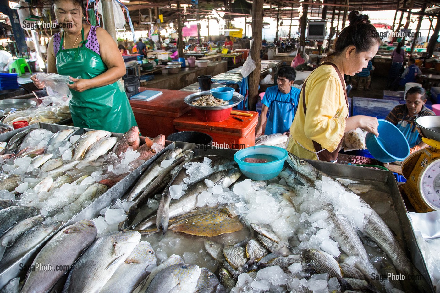 LES FEMMES SUR STAND DES POISSONNIERS, MARCHE DE BANG SAPHAN, THAILANDE, ASIE 