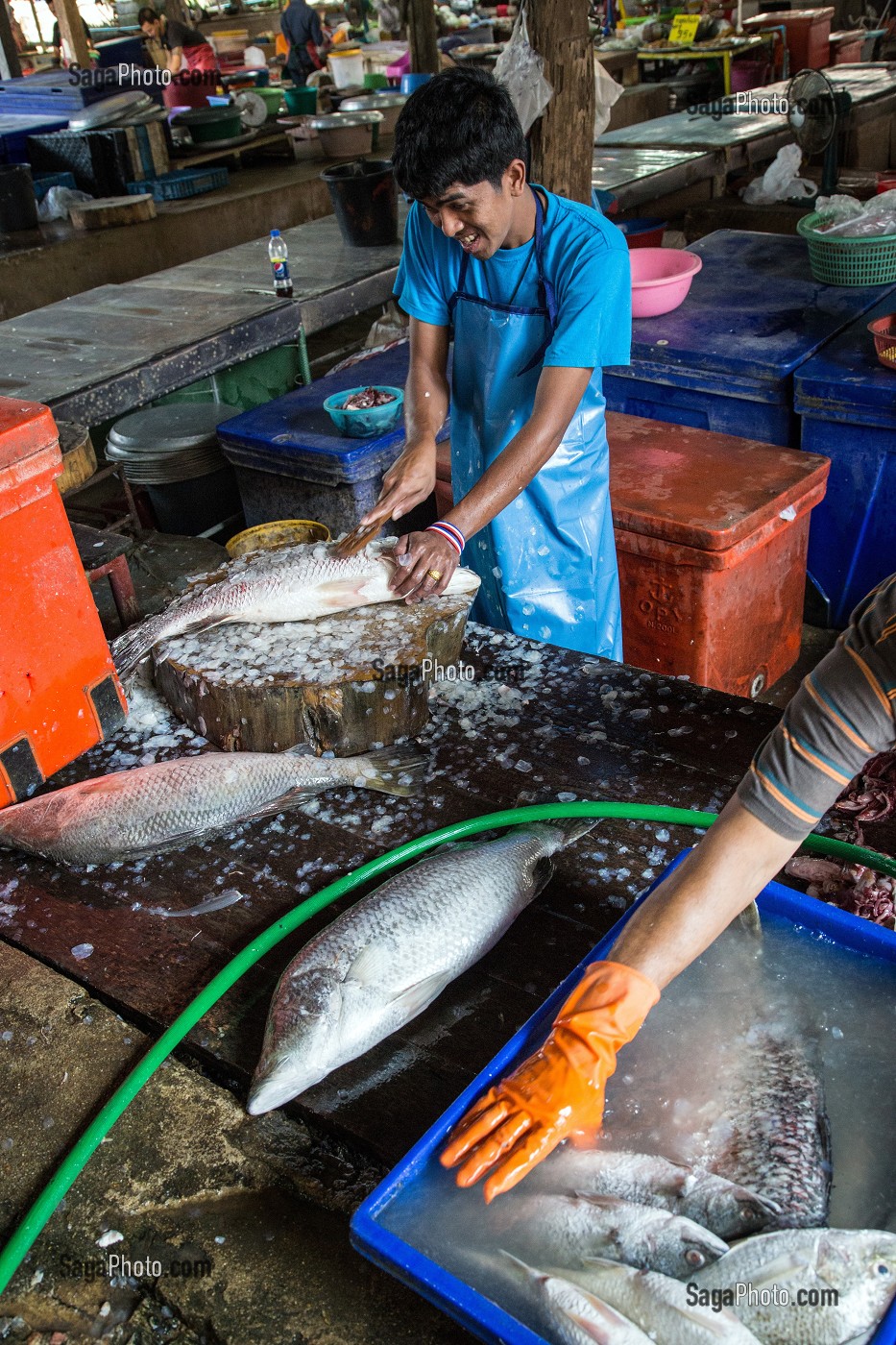 PREPARATION DES POISSONS SUR LE STAND DES POISSONNIERS, MARCHE DE BANG SAPHAN, THAILANDE, ASIE 