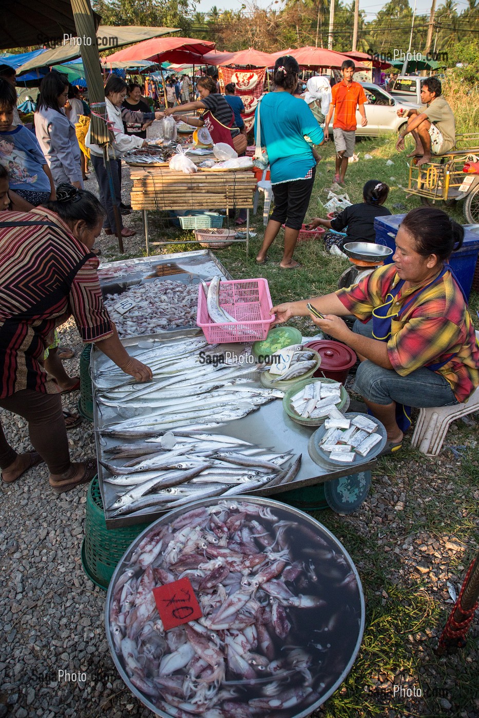 VENDEUSE DE POISSONS TROPICAUX TRES COLORES, MARCHE DE NUIT, BANG SAPHAN, THAILANDE, ASIE 