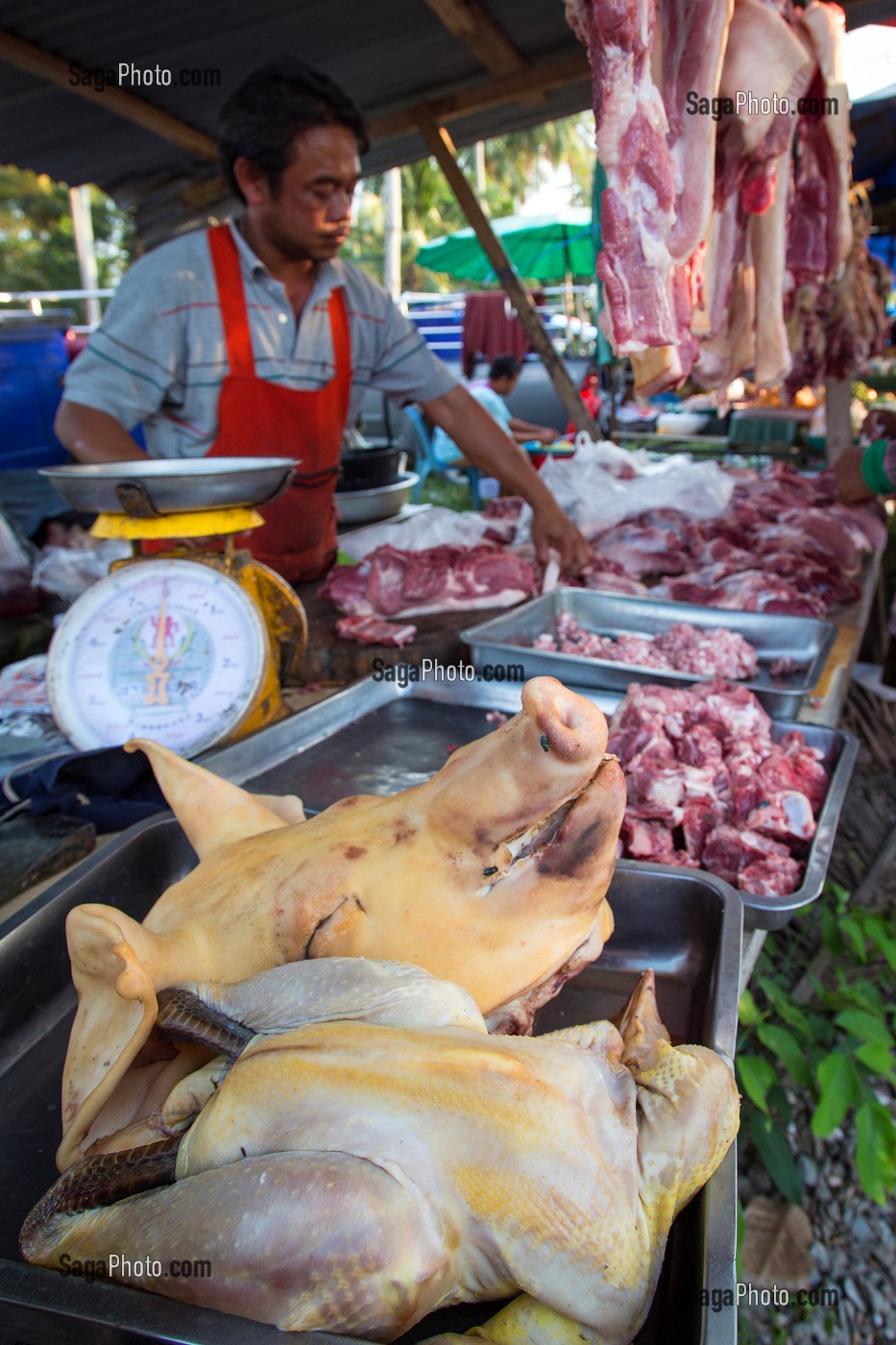 ETALAGE DU BOUCHER AVEC LES TETES DE COCHONS, MARCHE DE NUIT, BANG SAPHAN, THAILANDE, ASIE 