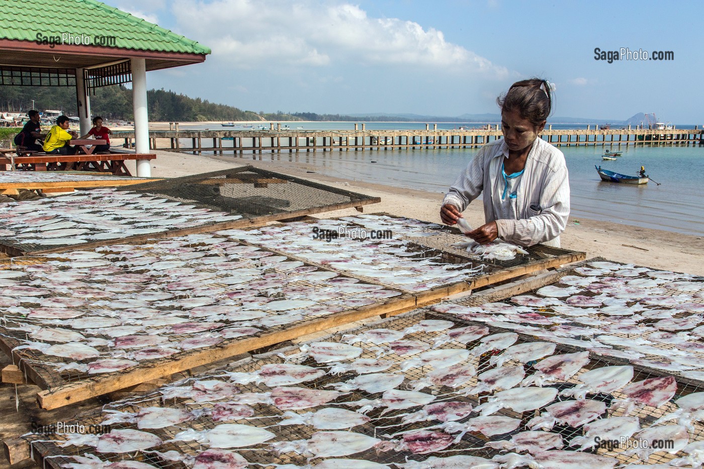 FEMME QUI ETALE LES POISSONS POUR LES FAIRE SECHER AU SOLEIL, VILLAGE DE PECHEURS SPECIALISES DANS LA PECHE AUX CALAMARS, THAM THONG, PROVINCE DE CHUMPHON, THAILANDE, ASIE 