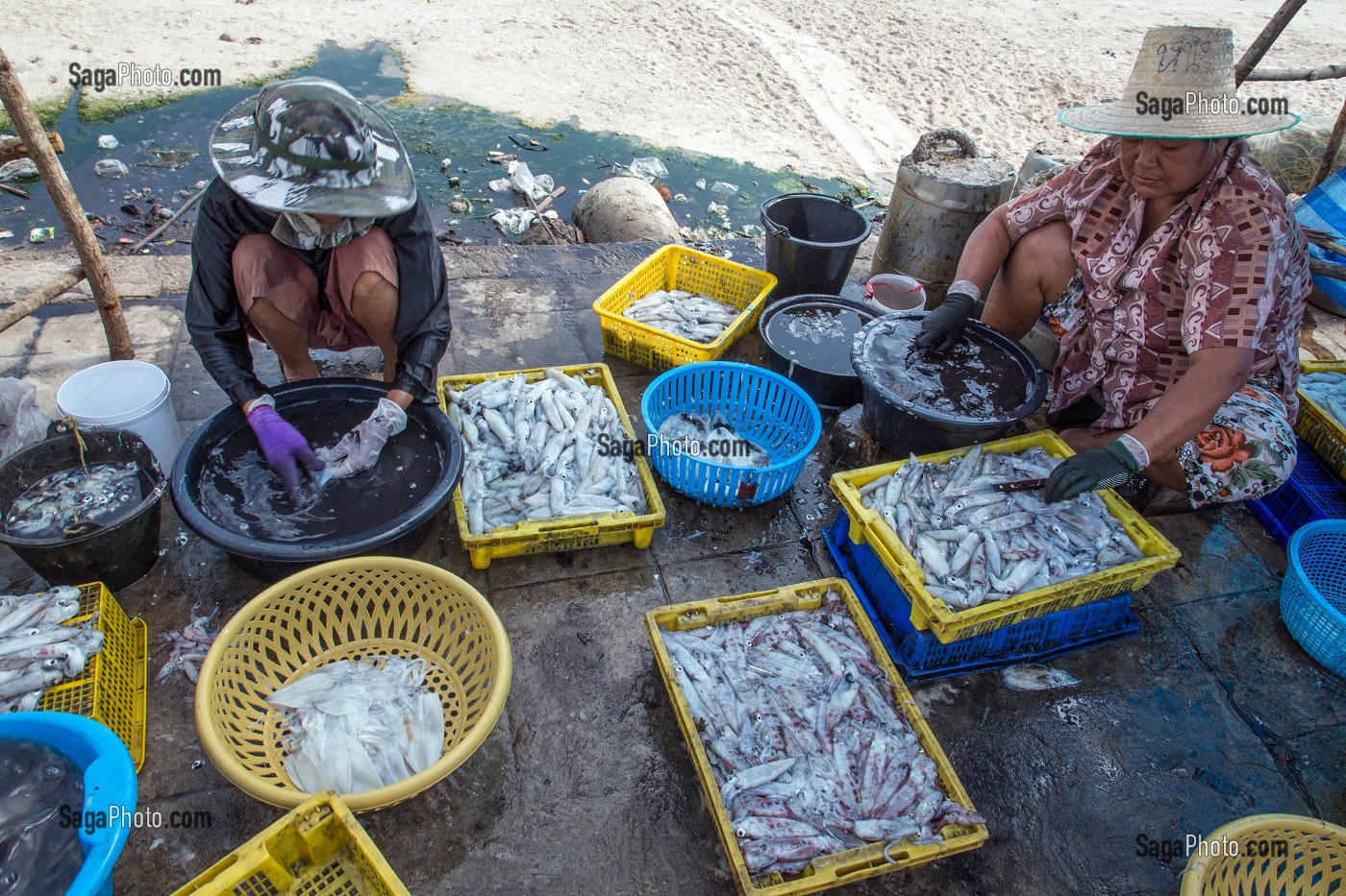 PREPARATION ET NETTOYAGE DES POISSONS AVANT DE LES FAIRE SECHER AU SOLEIL, VILLAGE DE PECHEURS SPECIALISES DANS LA PECHE AUX CALAMARS, THAM THONG, PROVINCE DE CHUMPHON, THAILANDE, ASIE 