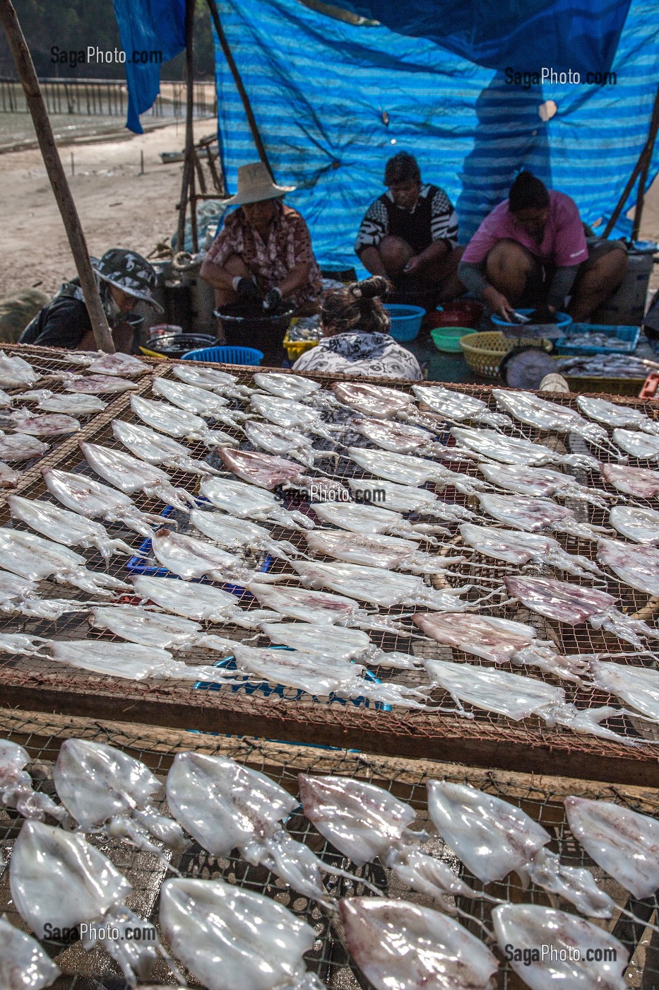 PREPARATION ET NETTOYAGE DES POISSONS POUR LES FAIRE SECHER AU SOLEIL, VILLAGE DE PECHEURS SPECIALISES DANS LA PECHE AUX CALAMARS, THAM THONG, PROVINCE DE CHUMPHON, THAILANDE, ASIE 