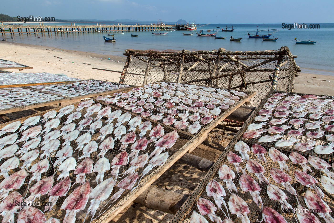 SECHAGE DES POISSONS AU SOLEIL, VILLAGE DE PECHEURS SPECIALISES DANS LA PECHE AUX CALAMARS, THAM THONG, PROVINCE DE CHUMPHON, THAILANDE, ASIE 