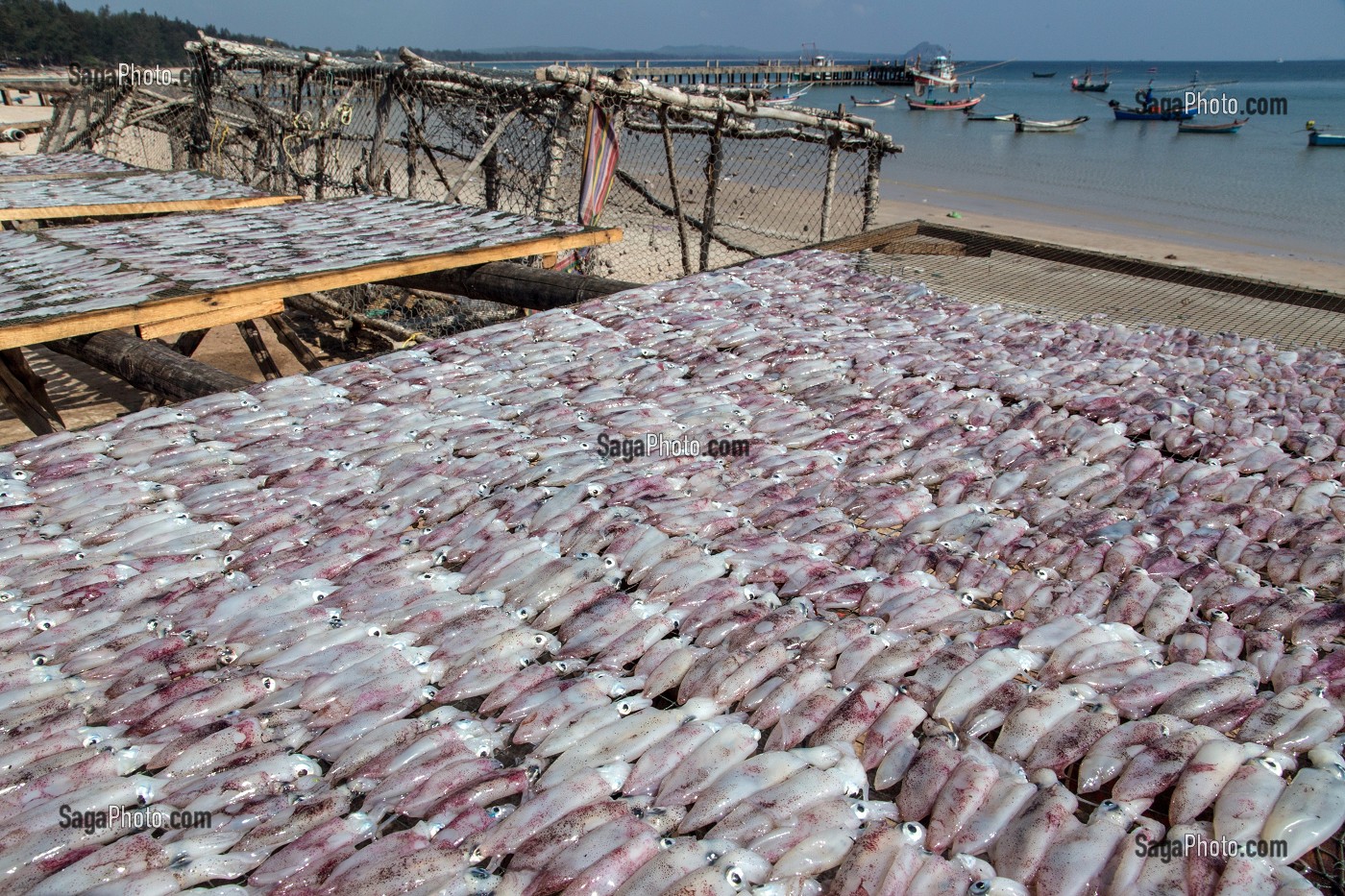 SECHAGE DES POISSONS AU SOLEIL, VILLAGE DE PECHEURS SPECIALISES DANS LA PECHE AUX CALAMARS, THAM THONG, PROVINCE DE CHUMPHON, THAILANDE, ASIE 