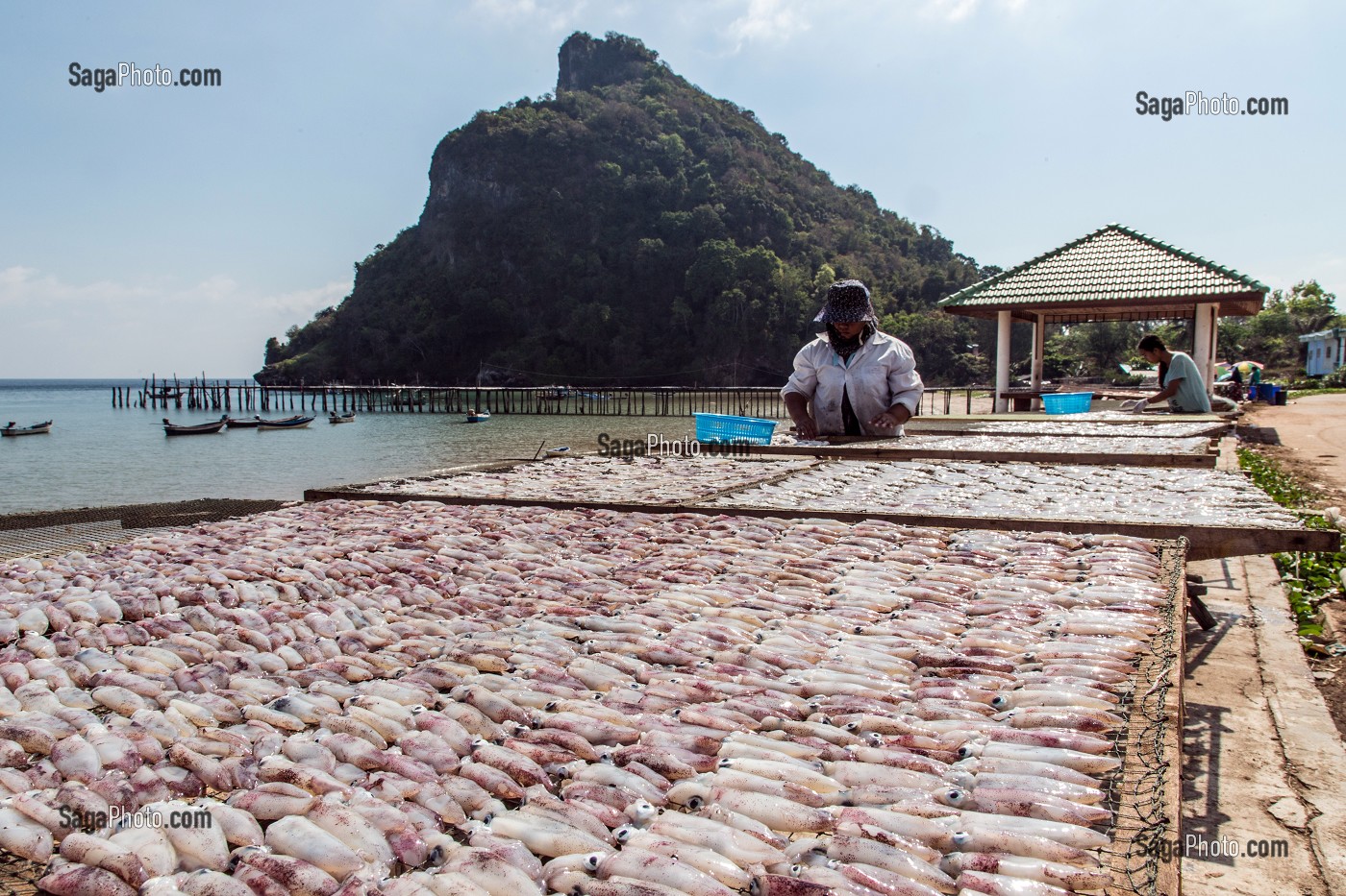 FEMME QUI ETALE LES POISSONS POUR LES FAIRE SECHER AU SOLEIL, VILLAGE DE PECHEURS SPECIALISES DANS LA PECHE AUX CALAMARS, THAM THONG, PROVINCE DE CHUMPHON, THAILANDE, ASIE 