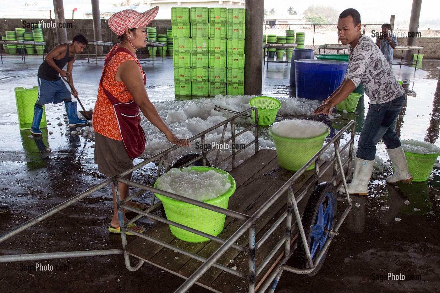 PREPARATION DE LA GLACE POUR L'ARRIVAGE DES POISSONS AU PORT DE PECHE AUX CALAMARS, BANG SAPHAN, THAILANDE, ASIE 