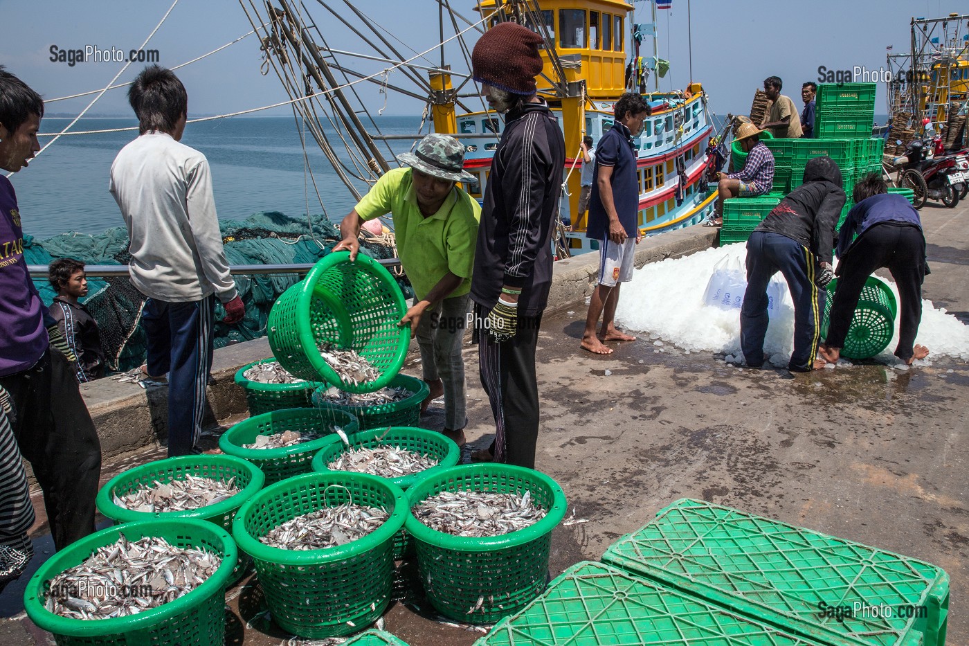 DECHARGEMENT DU POISSON SUR LES BATEAUX DE PECHE, PORT DE BANG SAPHAN, THAILANDE, ASIE 