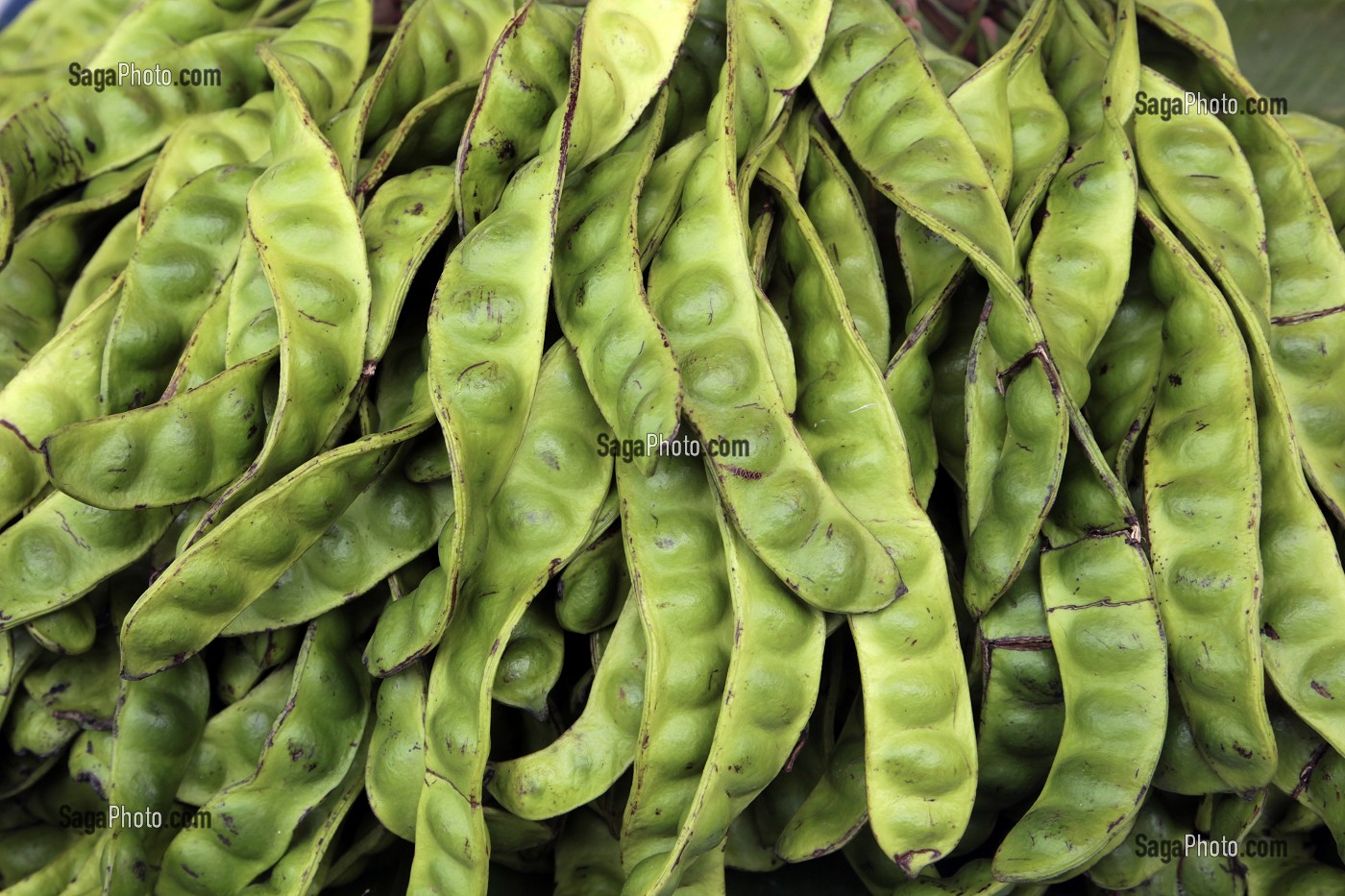ETALAGE DE HARICOTS VRILLES, THAILANDE, ASIE 