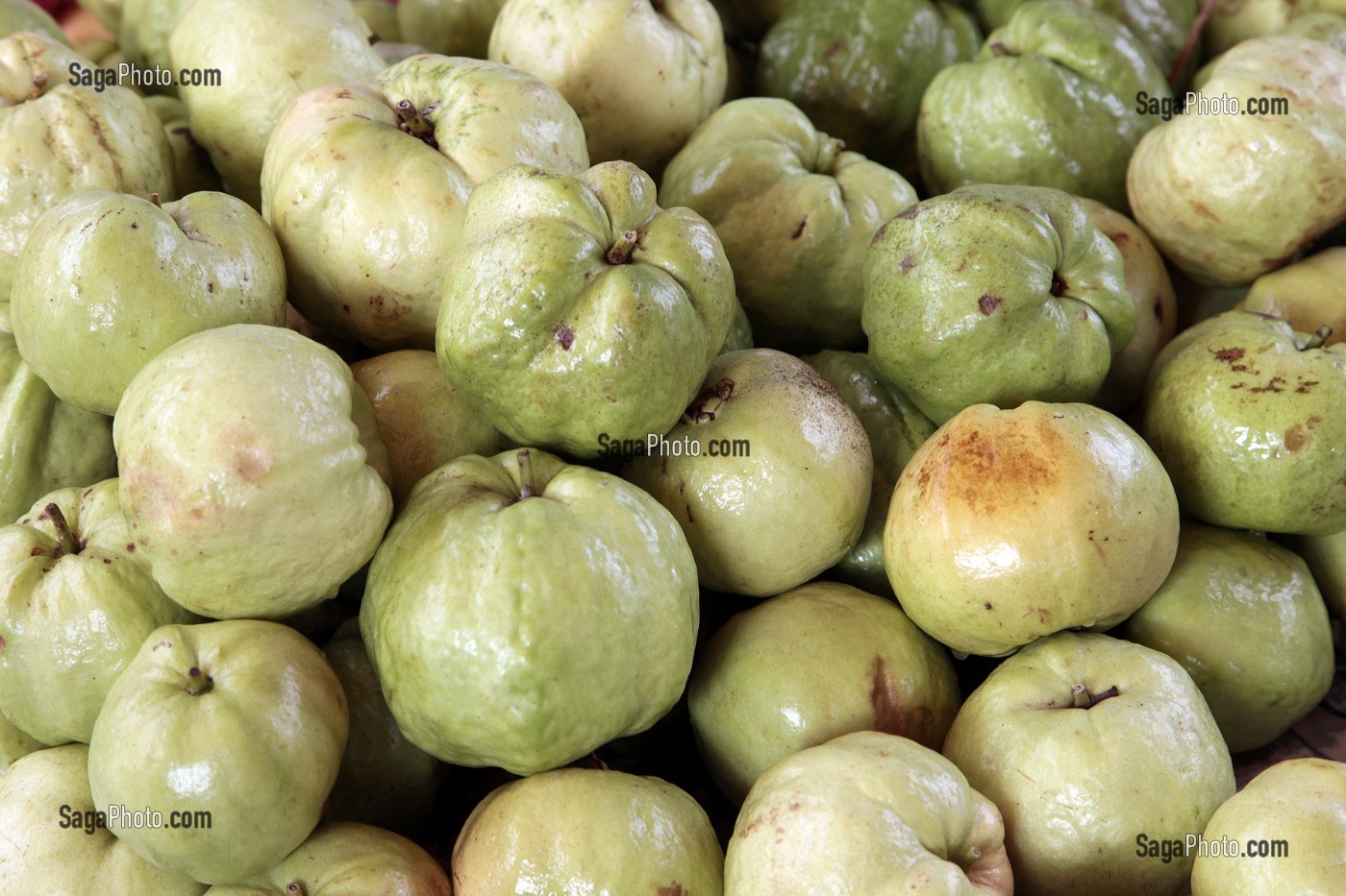 ETALAGE DE GOYAVES, FRUITS TROPICAUX, THAILANDE, ASIE 