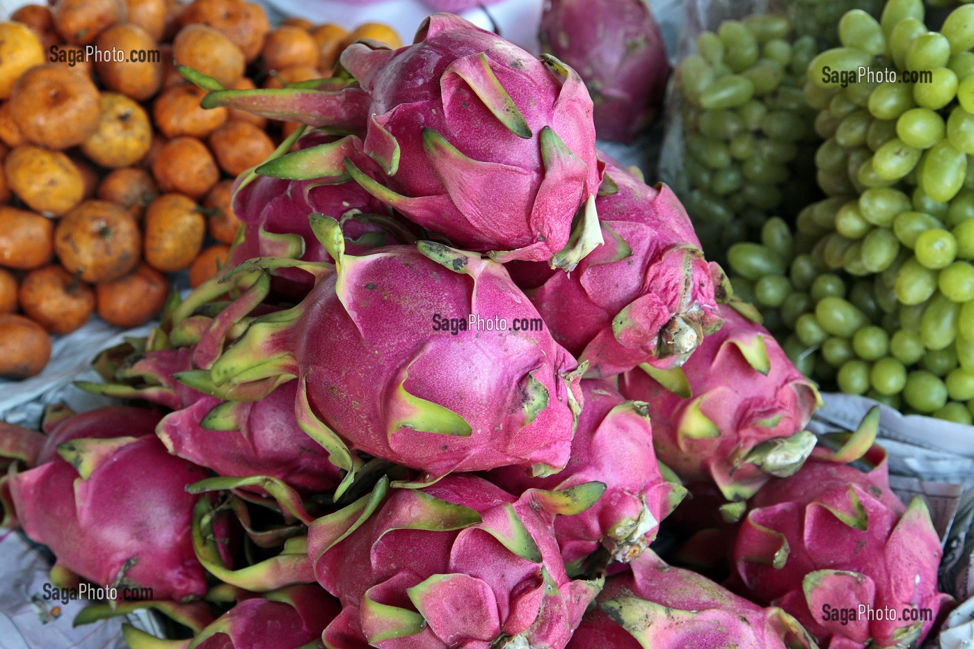 PITAYAS OU PITAHAYAS, APPELES RAQUETTES TORTUES OU PLUS COURAMMENT FRUITS DU DRAGON, SUR UN MARCHE, THAILANDE, ASIE 