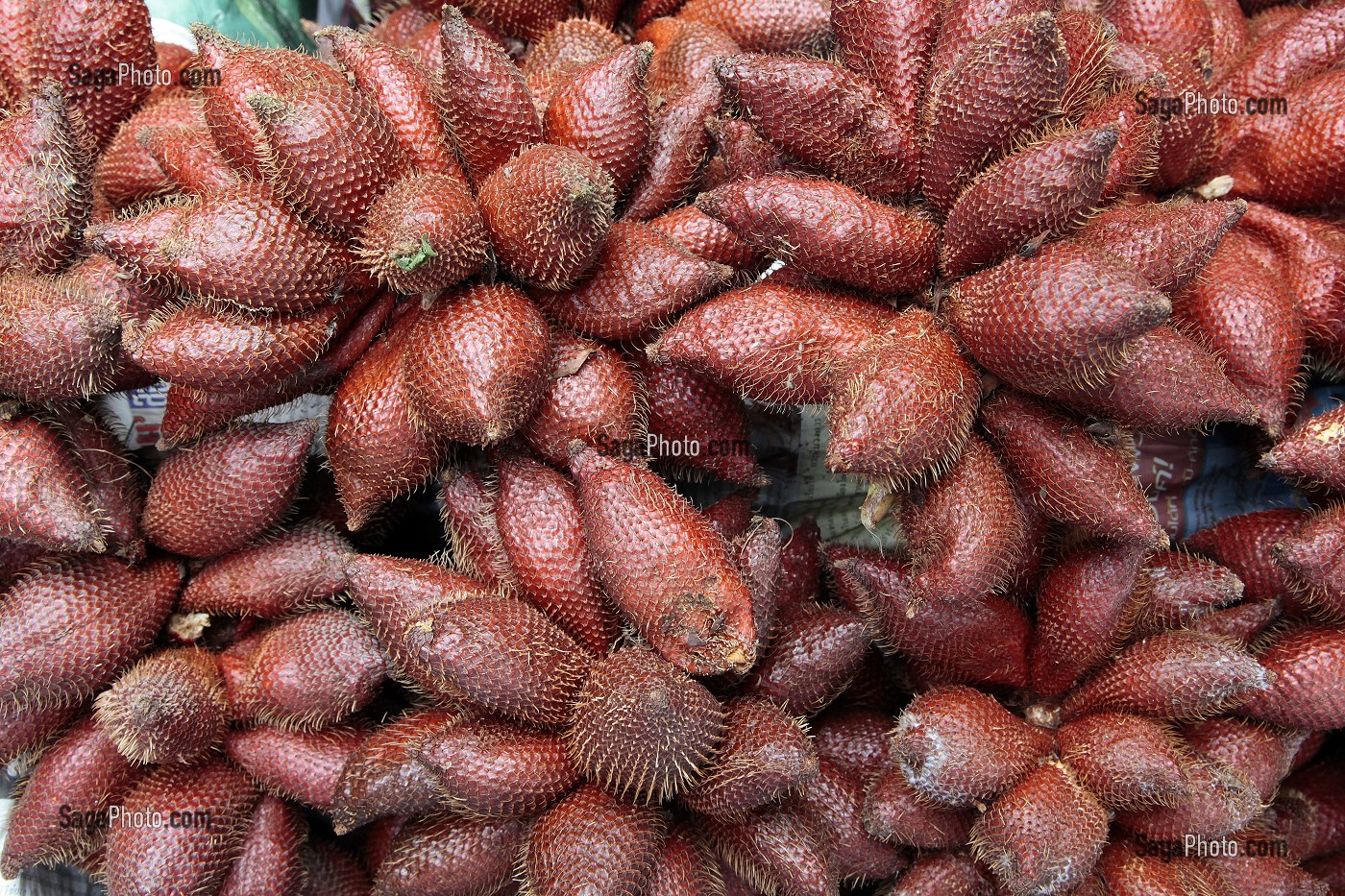 ETALAGE DE SALAKS OU FRUITS SERPENTS, THAILANDE, ASIE 