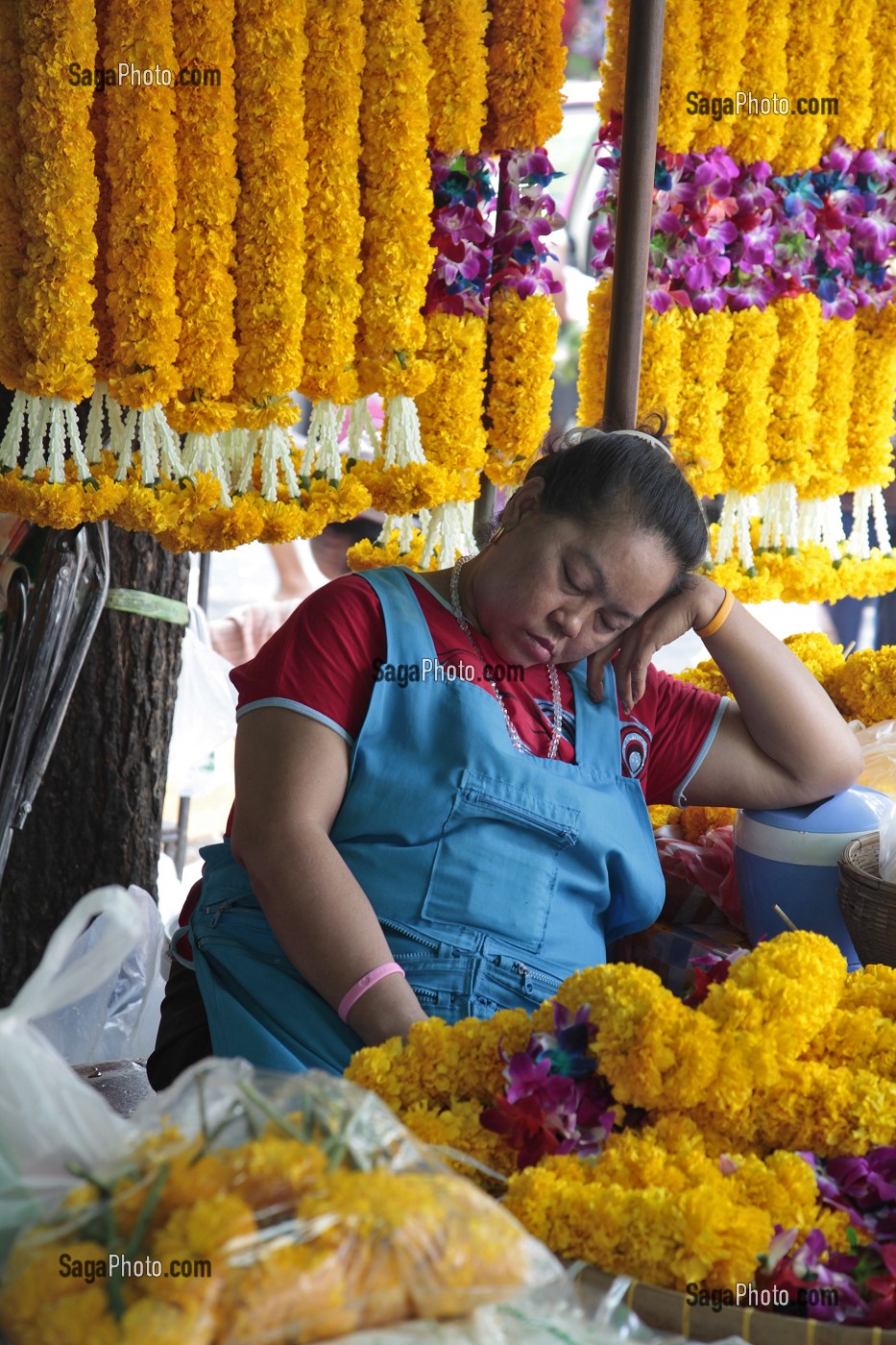 VENTE D'ORCHIDEES, FLEURS TROPICALES, SUR LE MARCHE AUX FLEURS DE PAK KHLONG TALAT, BANGKOK, THAILANDE, ASIE 