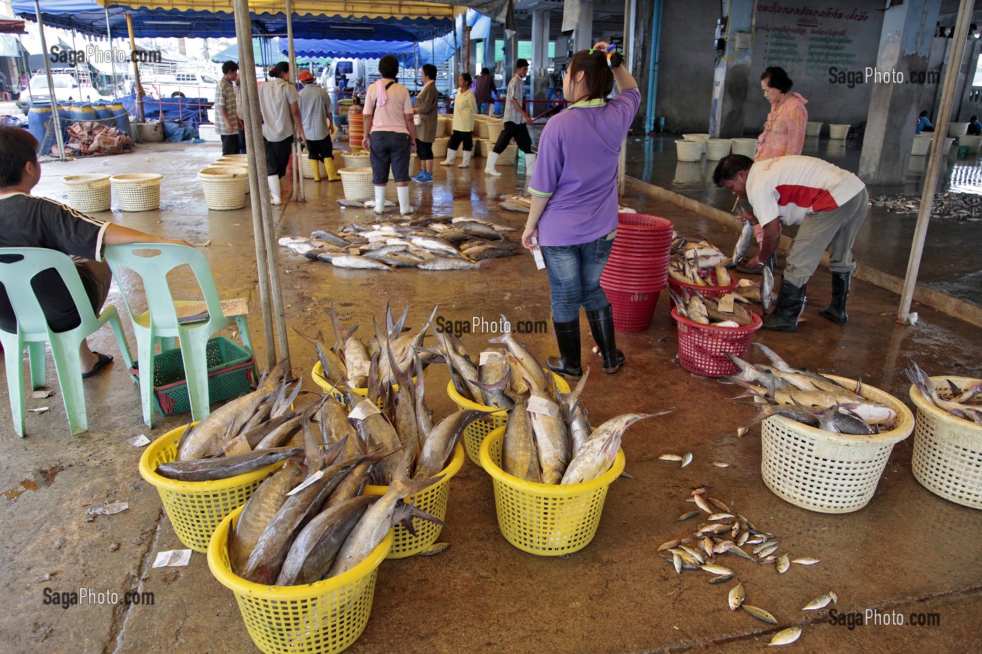 PECHE DU JOUR DANS LES PANIERS, CRIEE DU MARCHE AUX POISSONS, PORT DE RANONG, THAILANDE, ASIE 