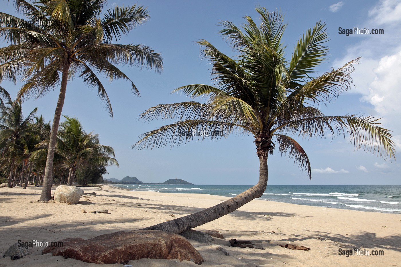 LES COCOTIERS SUR LA PLAGE DE BAN KRUT, BANG SAPHAN, THAILANDE, ASIE 