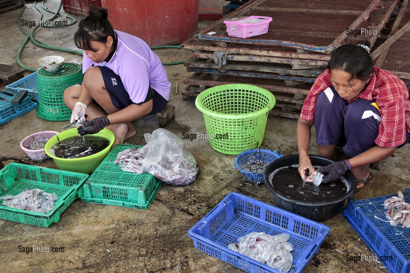 PREPARATION ET NETTOYAGE DES ENCORNETS, VILLAGE DE PECHEURS PRES DE BANG SAPHAN, THAILANDE, ASIE 