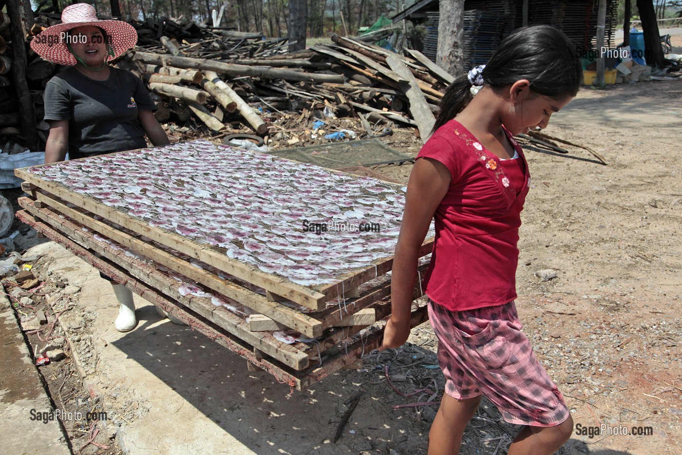 SECHAGE DES ENCORNETS SUR DES TREILLES, VILLAGE DE PECHEURS PRES DE BANG SAPHAN, THAILANDE, ASIE 