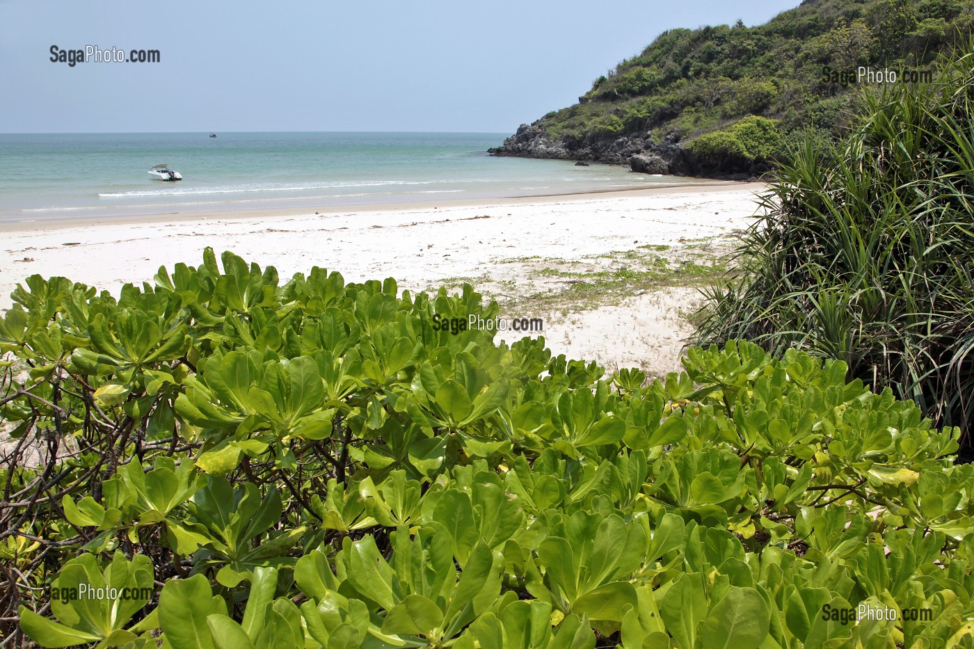 VEGETATION LUXURIANTE ET PLAGE DESERTE DE AOW TA MUANG (BAIE DE TA MUANG), REGION DE BANG SAPHAN, THAILANDE, ASIE 