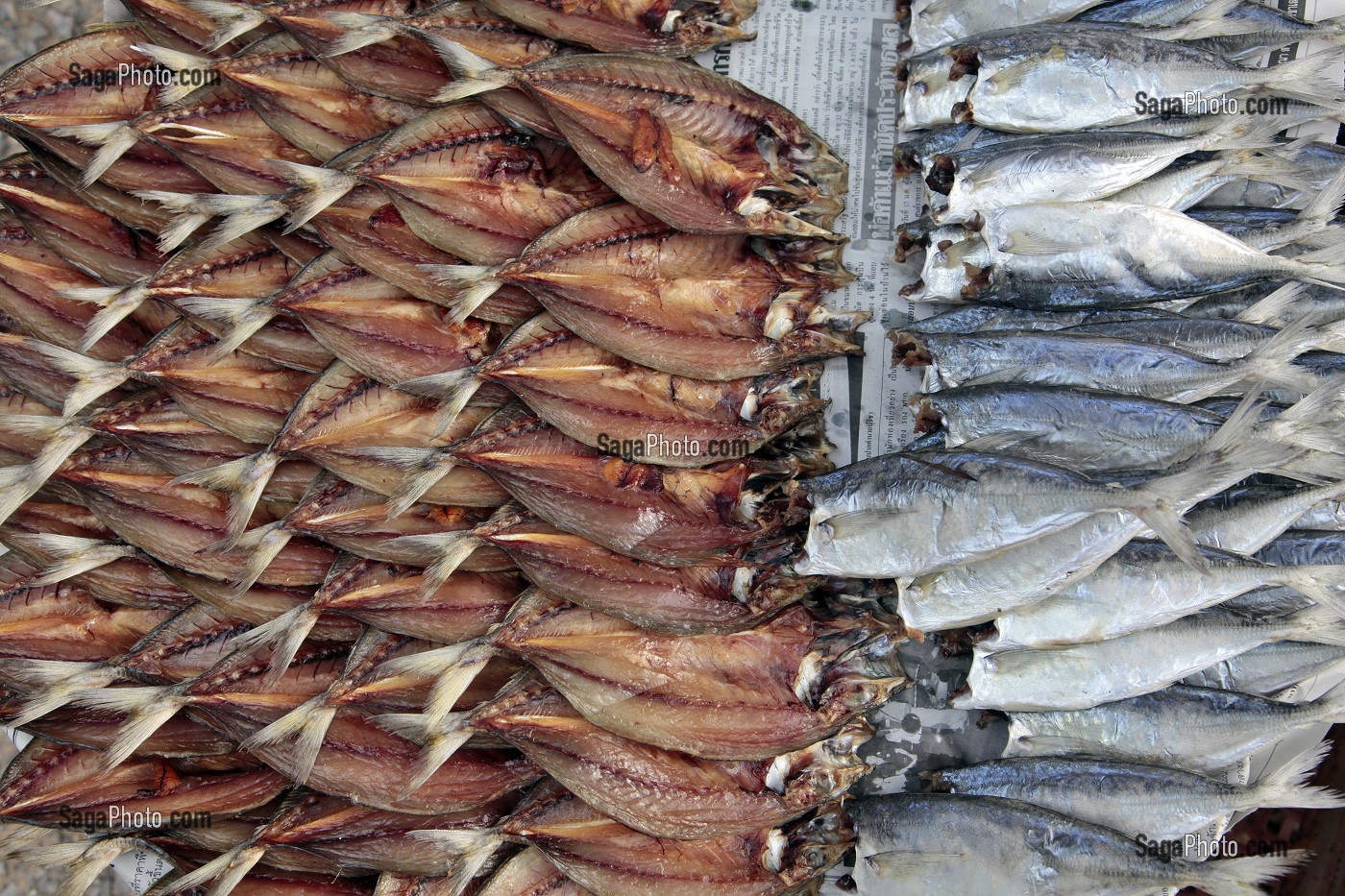 ETALAGE DE POISSONS SECHES, MARCHE DE BANG SAPHAN, THAILANDE, ASIE 