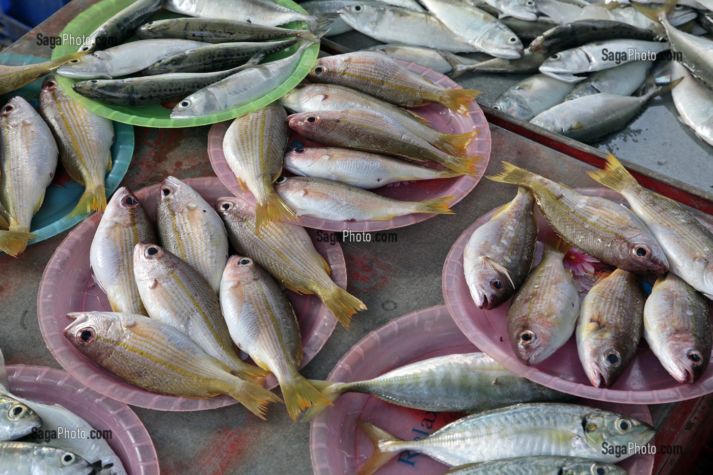 ETALAGE DE POISSONS FRAIS EN LOTS, MARCHE DE BANG SAPHAN, THAILANDE, ASIE 