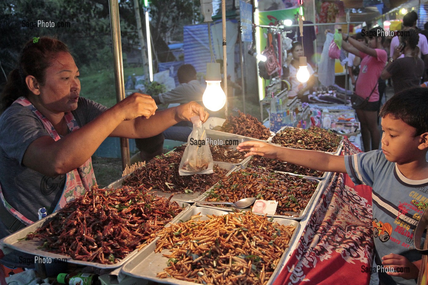 MARCHANDE D'INSECTES GRILLES (VERS A SOIE, SAUTERELLES, CIGALES, GRILLONS), MARCHE DE NUIT, BANG SAPHAN, THAILANDE, ASIE 