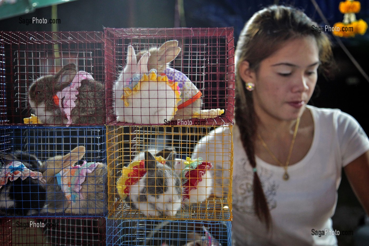 VENTE DE LAPINS NAINS EN COSTUME, MARCHE DE NUIT, BANG SAPHAN, THAILANDE, ASIE 